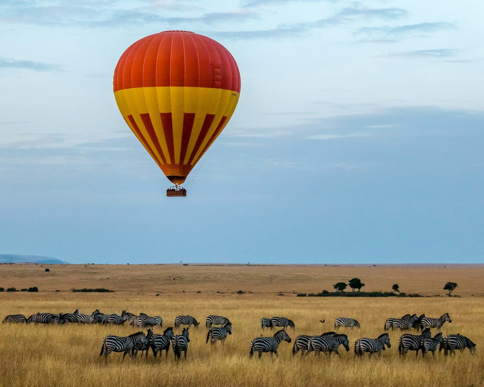 Hot-air balloon at sunrise