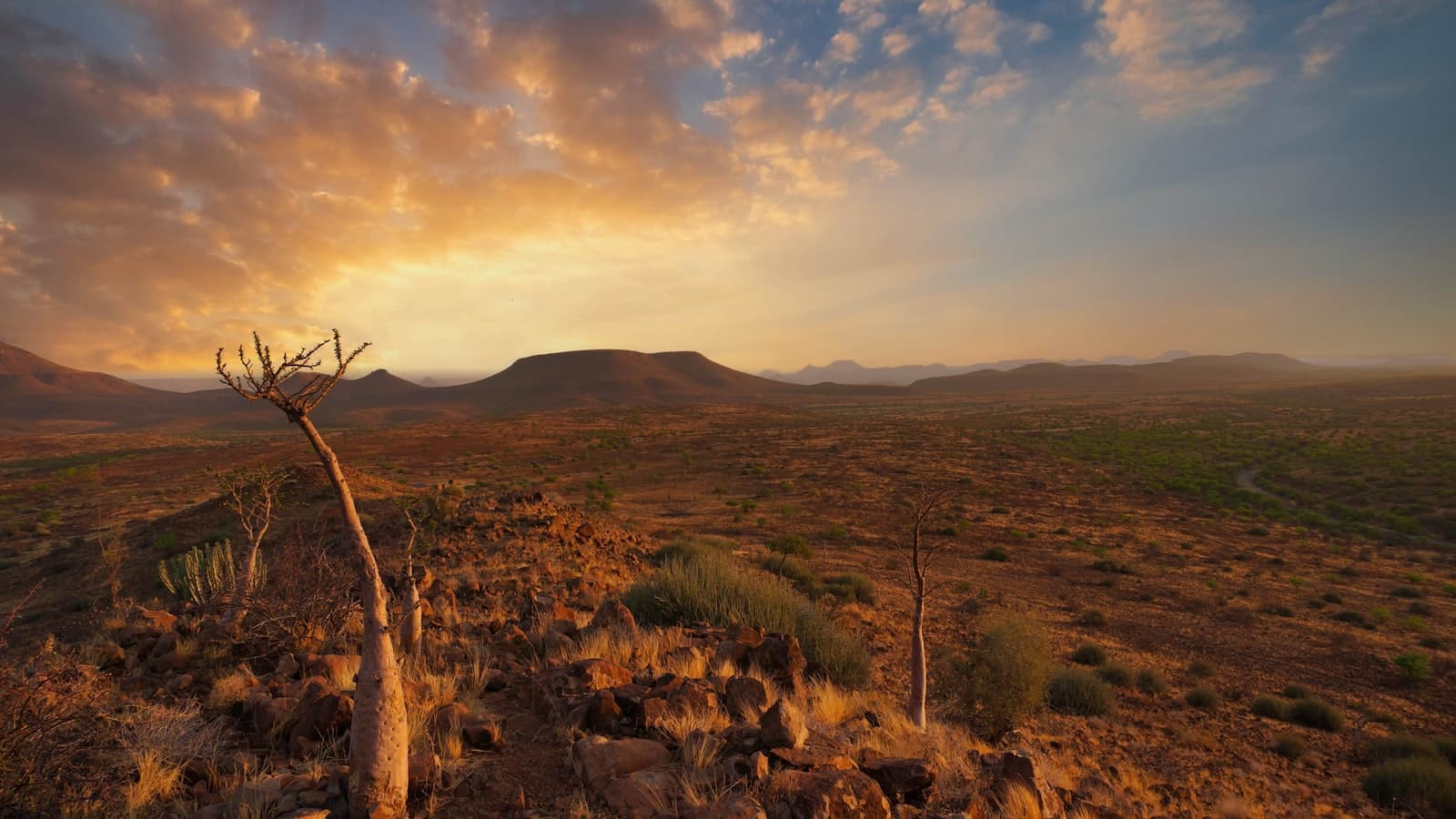 On meeting the people of Namibia
