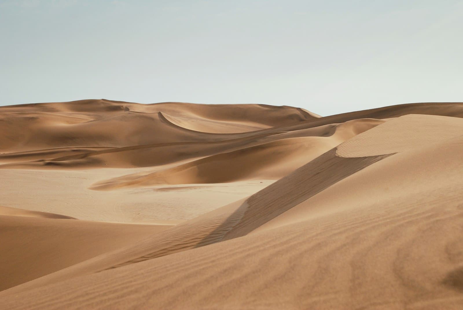 Namib desert at sunrise