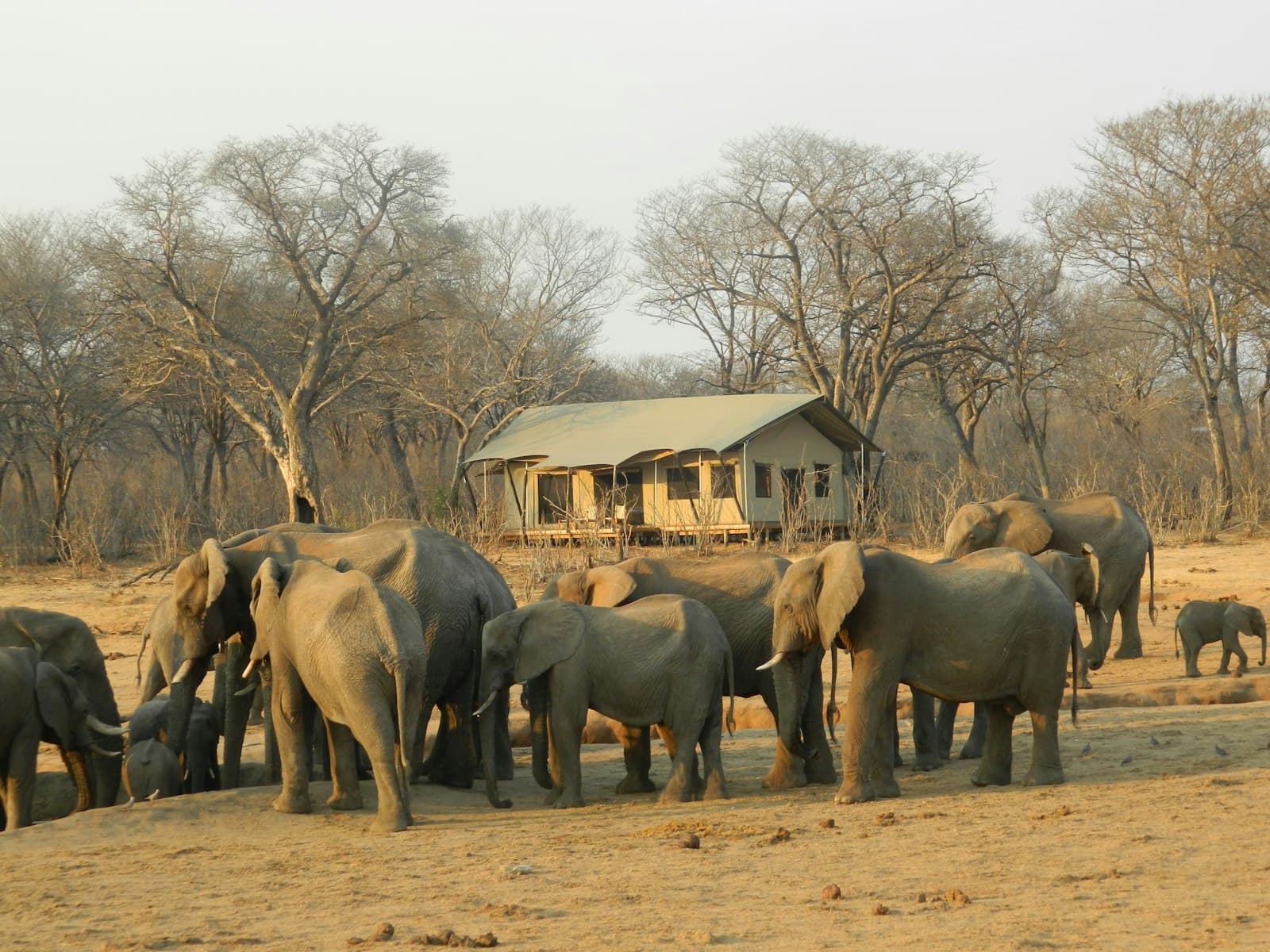 Lodge at a Namibian waterhole at sunset